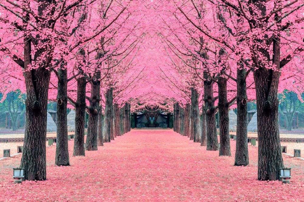 South Korea
