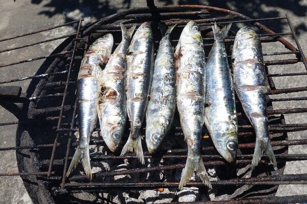 Grilled Sardines