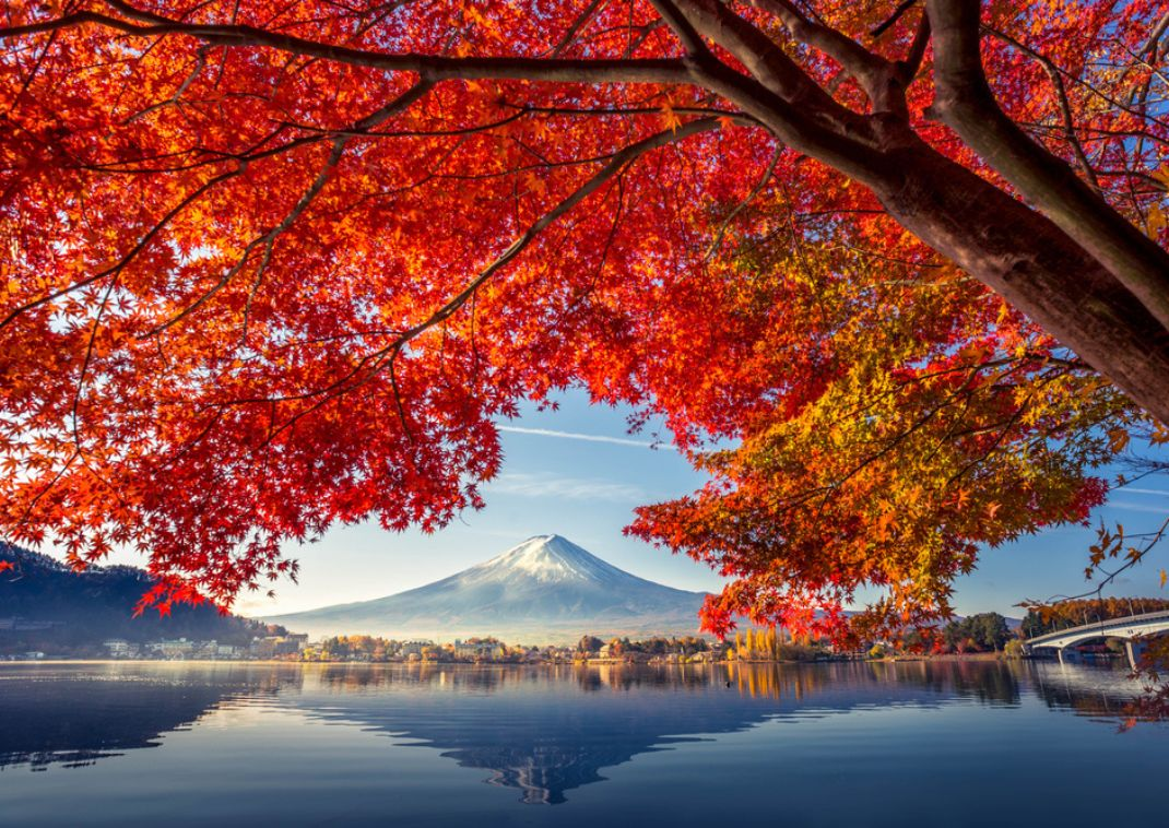 Autumn Splendor of East Asia