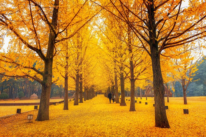 Autumn Splendor of East Asia