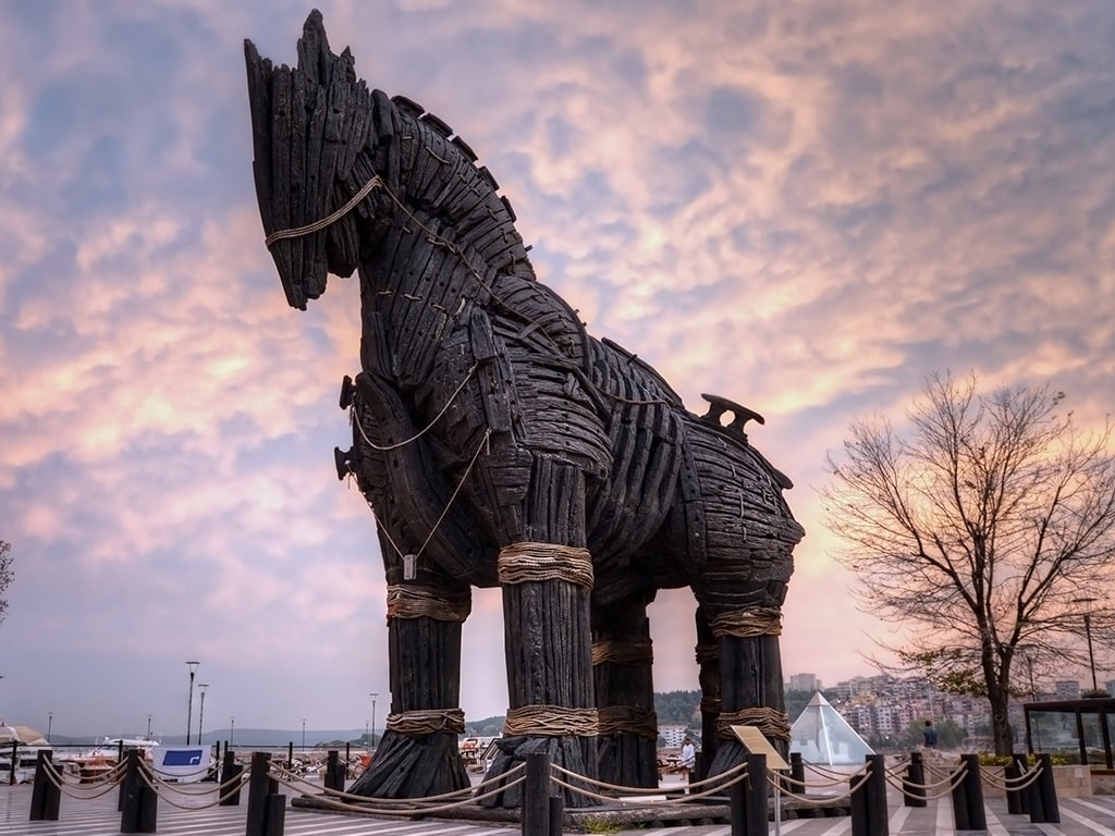 Majestic Turkey