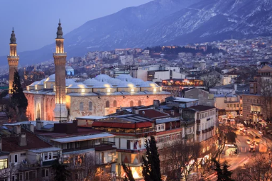 Bursa