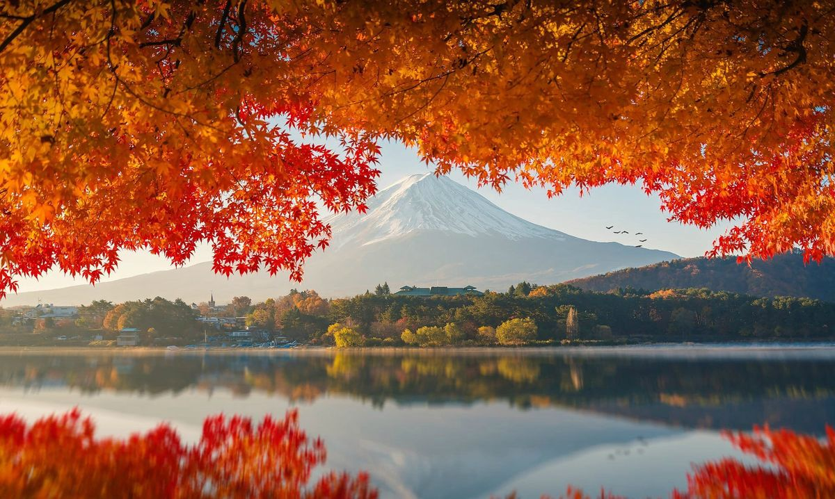 Autumn Splendor of East Asia