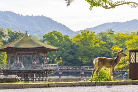 Nara