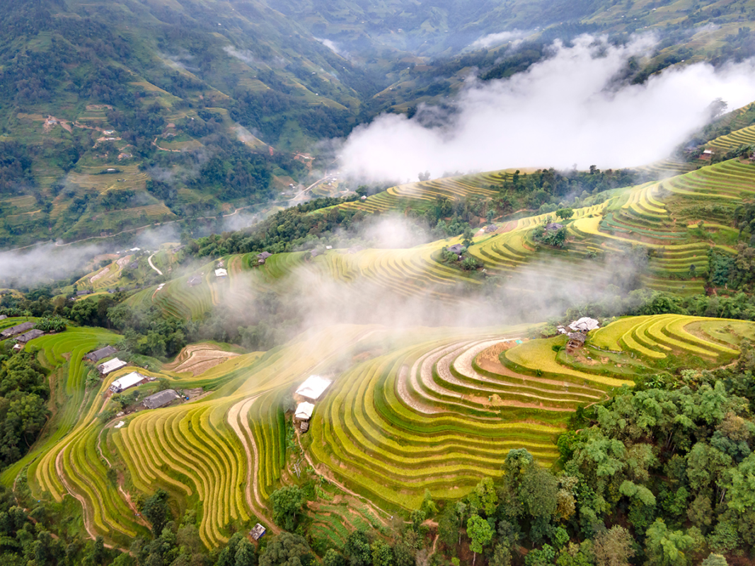 Vietnam