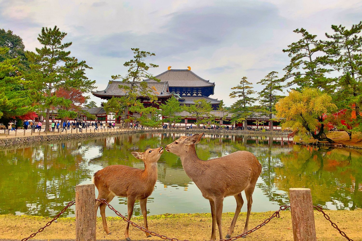 Japan