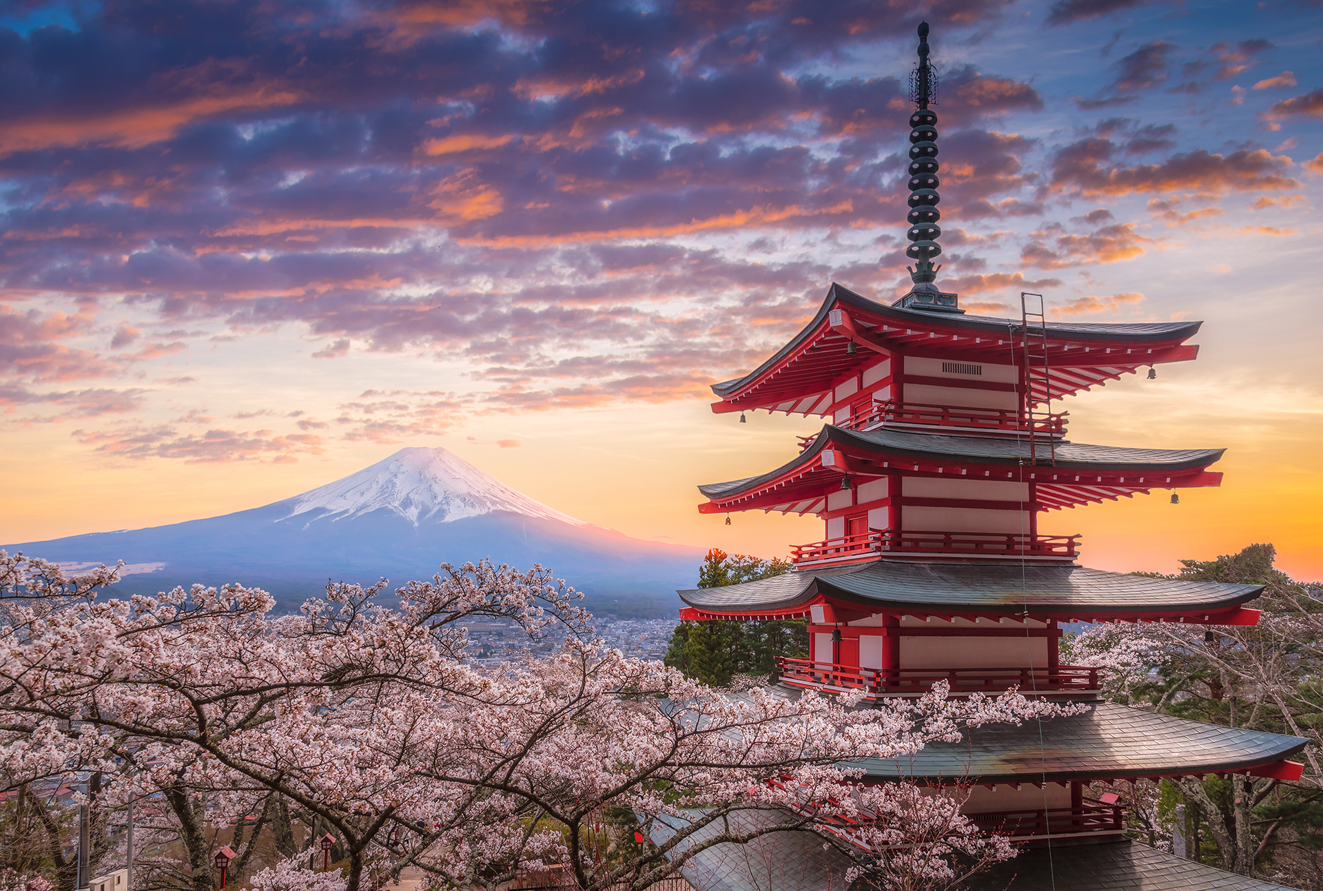 Autumn Splendor of East Asia