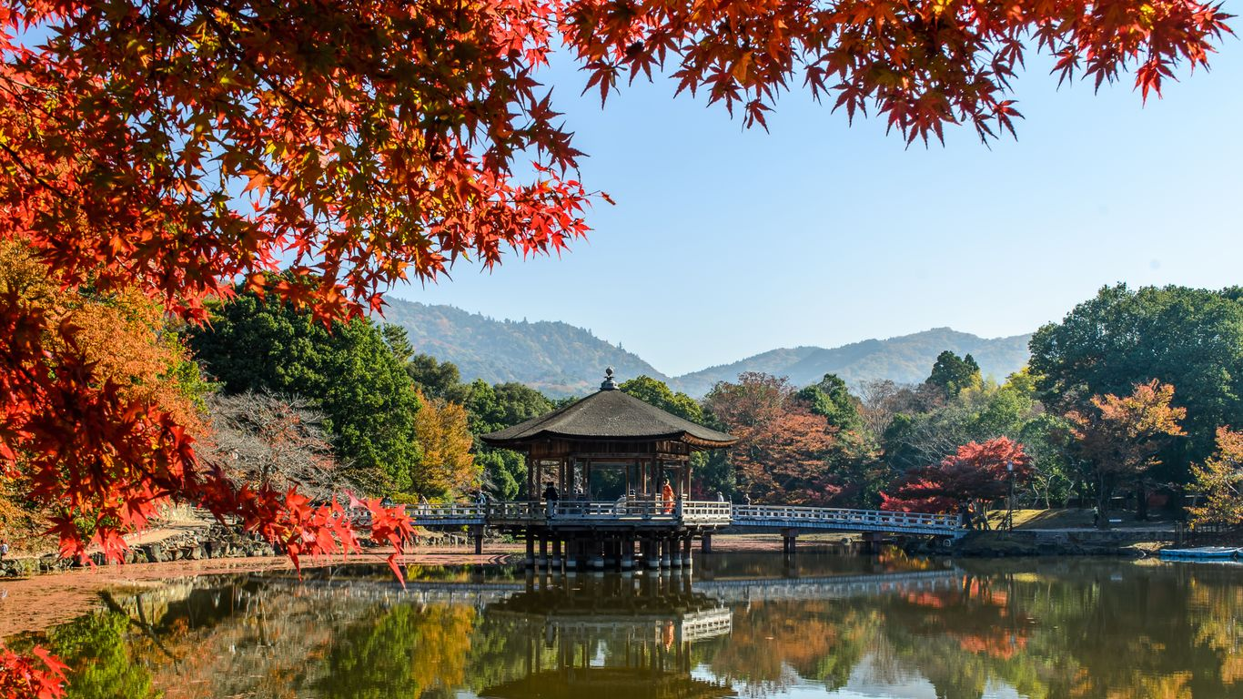 Autumn Splendor of East Asia