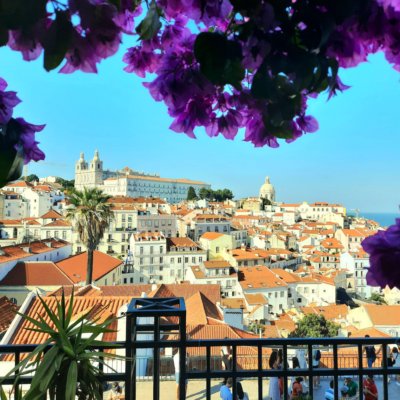 Enjoy a Viewpoint