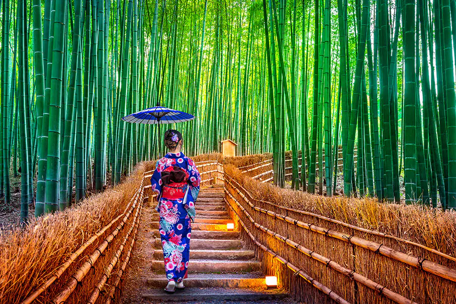 Kyoto- Tradition and Timeless Japan