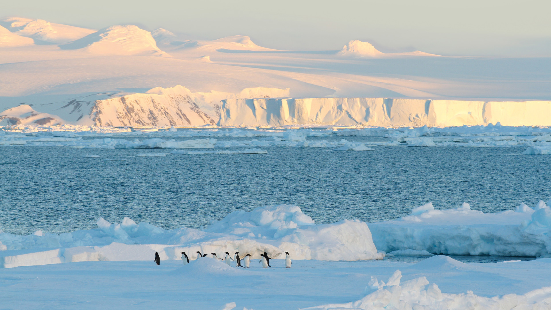 Antarctica