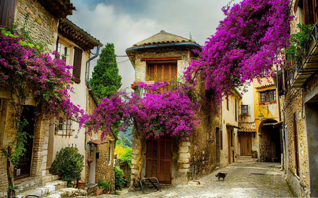 Take Photos in Fairy Tale Village