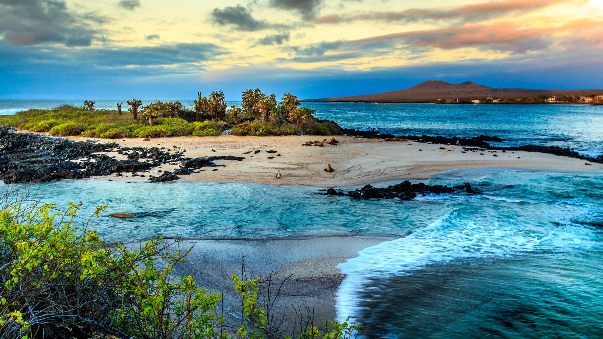 Galápagos Islands