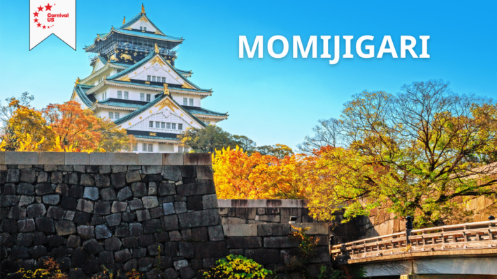 Momijigari - Vì sao người Nhật xem “săn lá đỏ” là một phần của văn hoá sống?