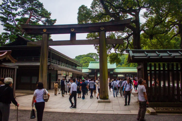 Walk Through Meiji Shrine