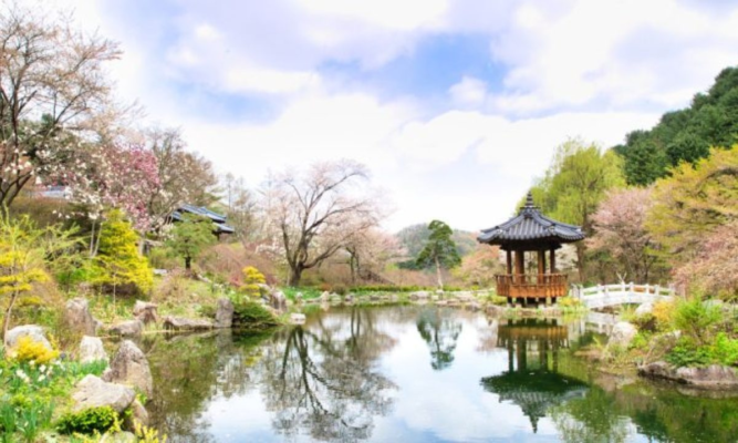Visit the Garden of Morning Calm