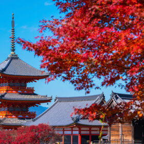 Kyoto in Autumn: Why It's the Best Time to Discover Japan's Ancient Capital