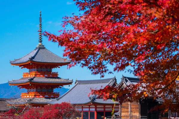 Kyoto in Autumn: Why It's the Best Time to Discover Japan's Ancient Capital