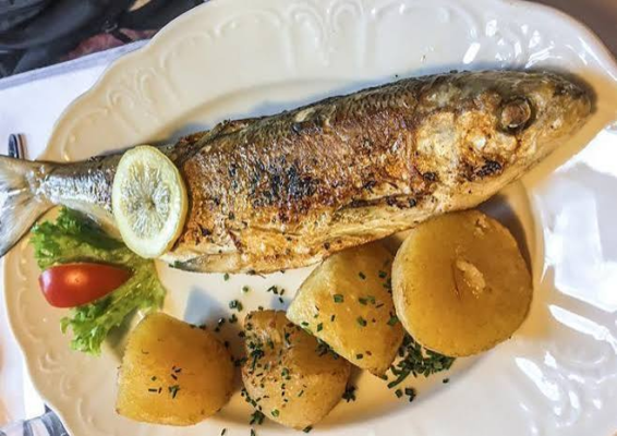 Fish at Hallstatt Lake
