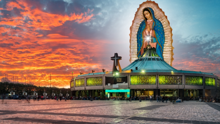 Our Lady of Guadalupe: The Story of Faith And The Journey To Becoming a Global Catholic Pilgrimage Destination